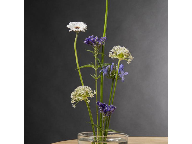 Esschert Design Steckigel Kenzan L Schwarz/Silber