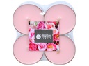 müller Kerzen Maxi Duft-Lichte English Rose 8 Stück