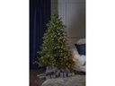 Star Trading Weihnachtsbaum Larvik 270 LED, 180 cm, outdoor