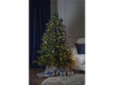 Star Trading Weihnachtsbaum Larvik 270 LED, 180 cm, outdoor