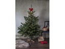 Star Trading Weihnachtsbaumständer 19 cm Grau/Natur