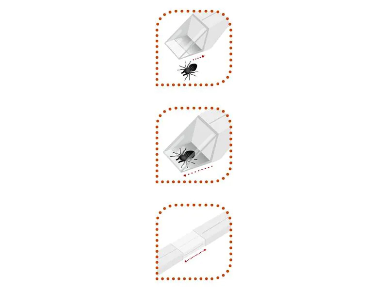 Windhager Spinnen- und Insektenfänger Easycatch, 35 cm, 1 Stück