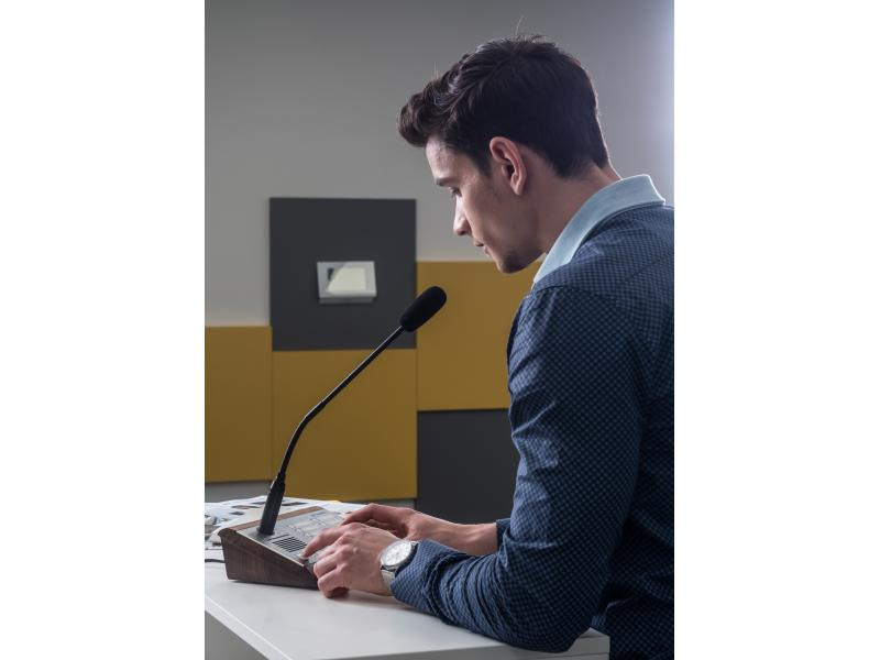 2N SIP-Mikrofon SIP Mic