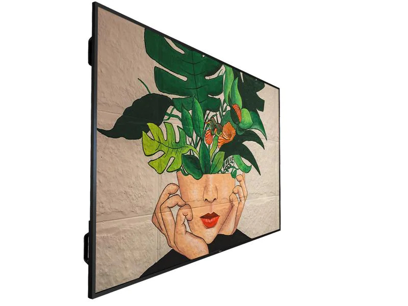 Philips Public Display 86BDL4511D/00 86