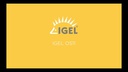 IGEL OS11 Priority Plus Subscription 3 Jahre