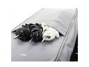 Think Tank Kamera-Tasche Stand Manager 52 Schwarz