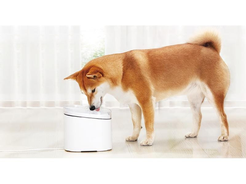 Xiaomi Smart Pet Fountain, Weiss