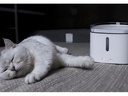 Xiaomi Smart Pet Fountain, Weiss