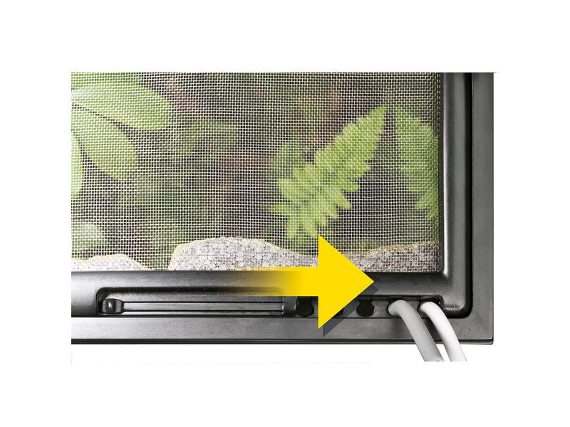 Exo Terra Glasterrarium Natural Small/Low, 45 x 45 x 30 cm
