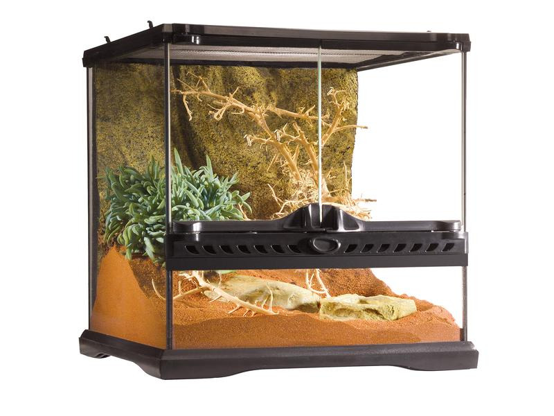 Exo Terra Glasterrarium Natural Mini/Wide, 30 x 30 x 30 cm