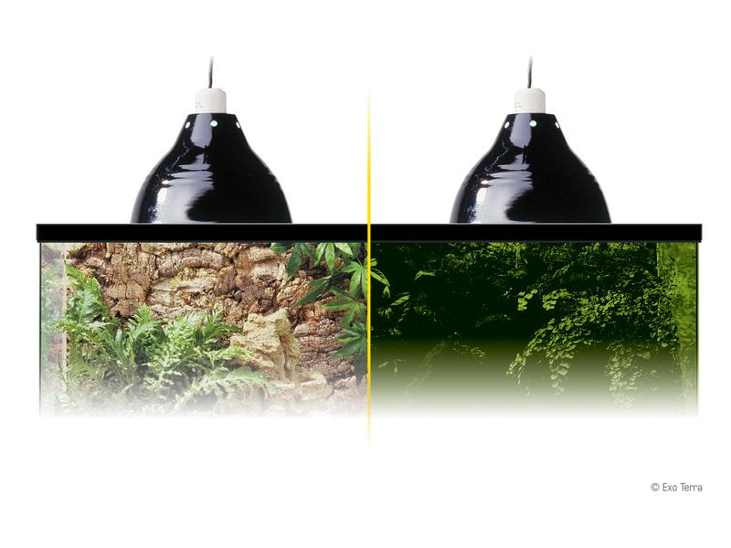 Exo Terra Klemmlampe Glow Light S, Ø 14 cm