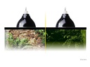 Exo Terra Klemmlampe Glow Light S, Ø 14 cm