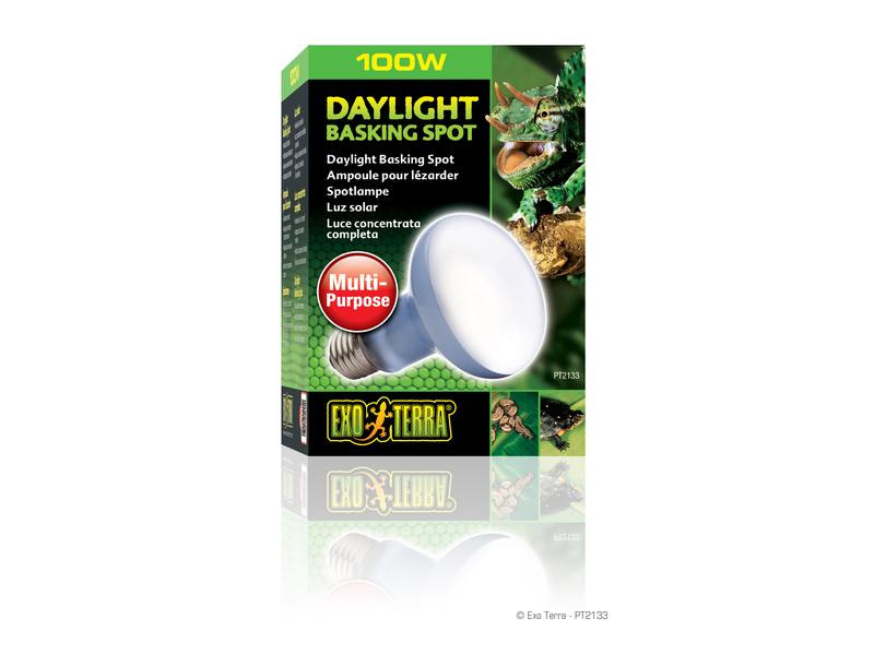 Exo Terra Terrarienlampe Daylight Basking Spot E27, R25/100W