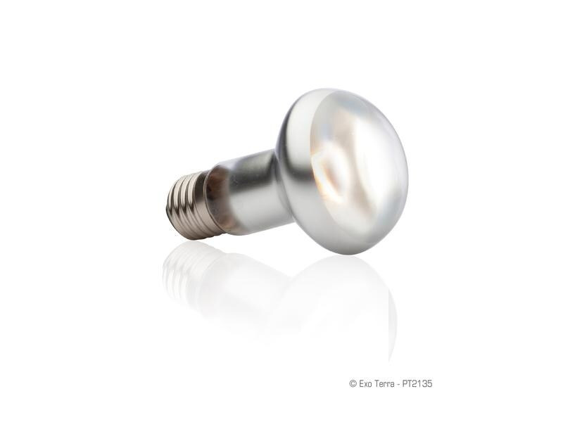 Exo Terra Terrarienlampe Intense Basking Spot E27, R20/50W