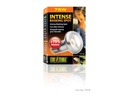 Exo Terra Terrarienlampe Intense Basking Spot E27, R20/75W
