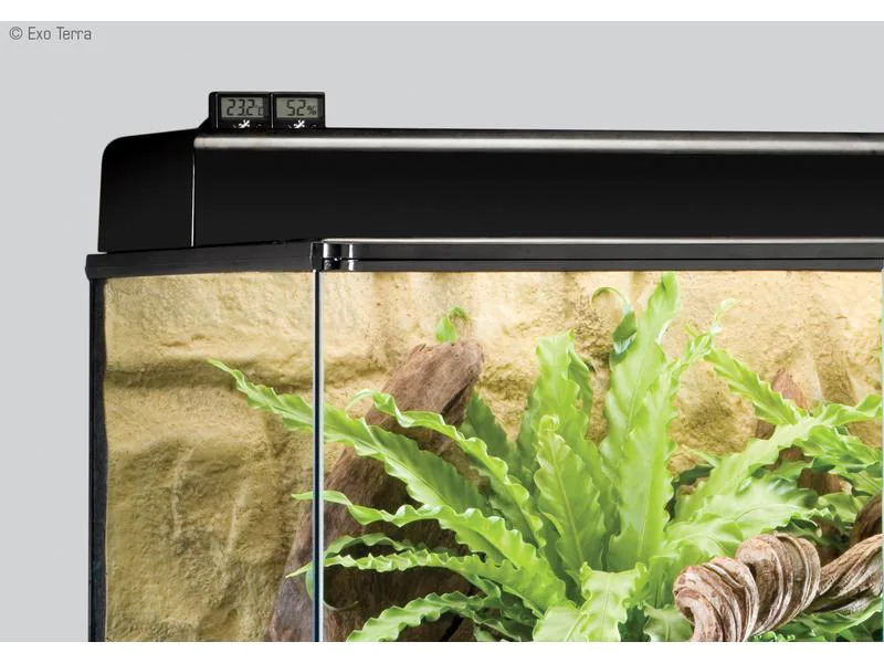 Exo Terra Thermometer Digital mit Fernsensor