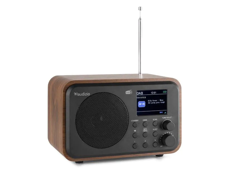 Audizio DAB+ Radio Milan Braun