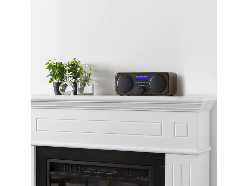 Audizio DAB+ Radio Novara Holzoptik