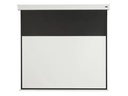 Celexon Motorleinwand Batterie V2.0 Motor Pro Plus 300x169 cm 16:9