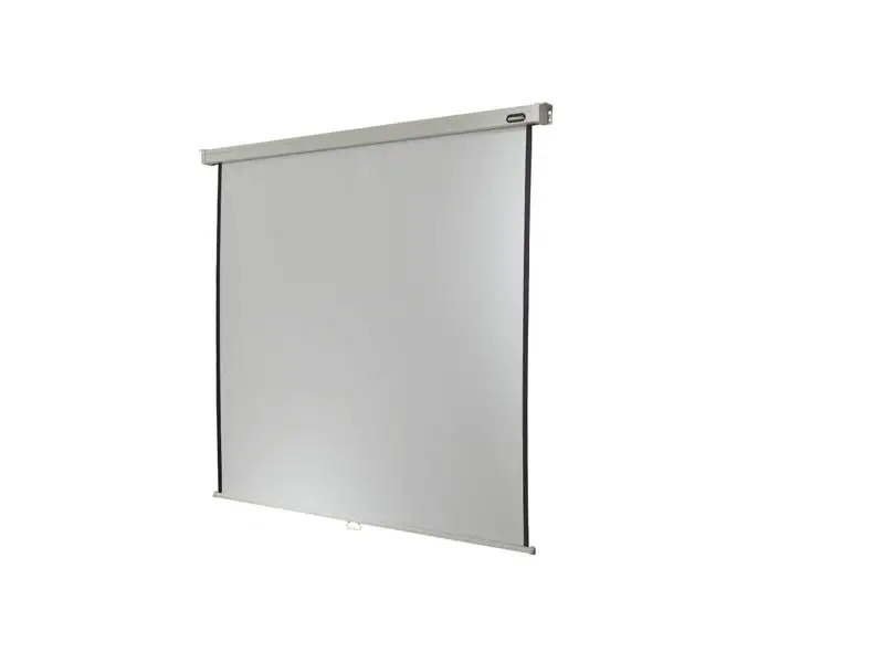 Celexon Rollo-Leinwand Professional Plus 300x225 cm 4:3
