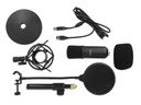 Delock Kondensatormikrofon USB für Gaming &amp; Podcasting