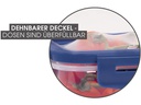 Livington Everclean Vorratsdose Flex &amp; Fresh 4 Stück, 3.35 l, Blau/Transparent