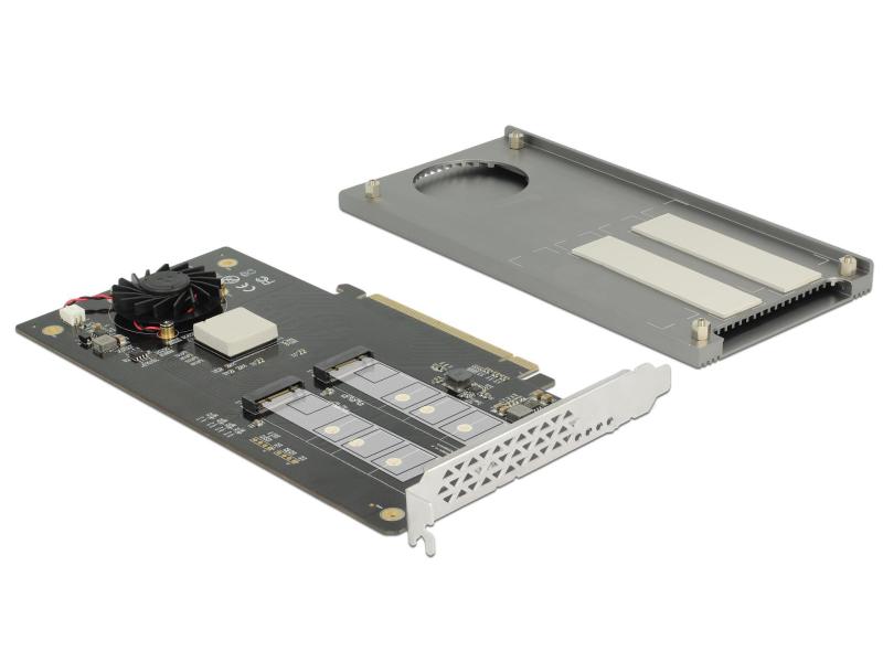 Delock Host Bus Adapter 2x NVME M.2 SSDs, PCI-Ex16, bootfähig