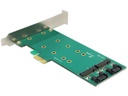 Delock Host Bus Adapter Controller PCI-ex4 - M.2, 2Port