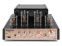 Fenton Verstärker TA60