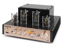 Fenton Verstärker TA60