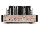 Fenton Verstärker TA60