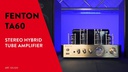 Fenton Verstärker TA60
