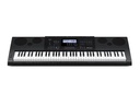 Casio Workstation WK-6600