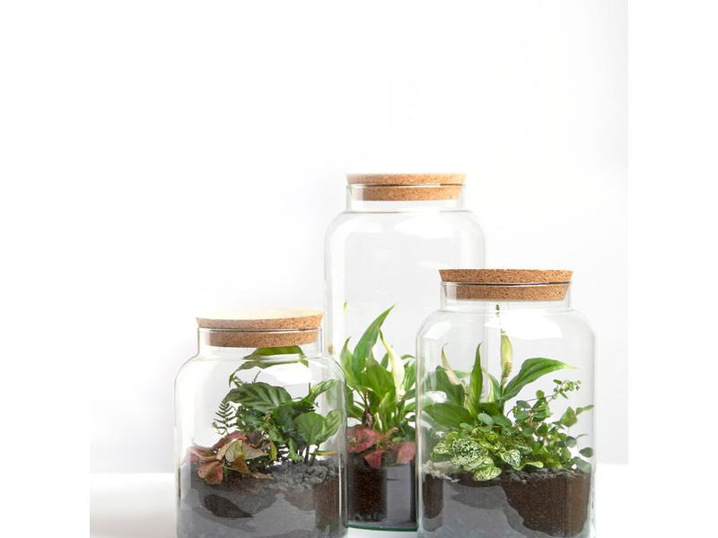 Esschert Design Terrarium-Flasche S, 18.5 x 26.3 cm