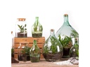 Esschert Design Terrarium-Flasche S, 18.5 x 26.3 cm