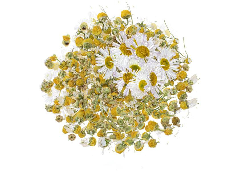 Glorex Blüten Kamille 3g