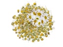 Glorex Blüten Kamille 3g