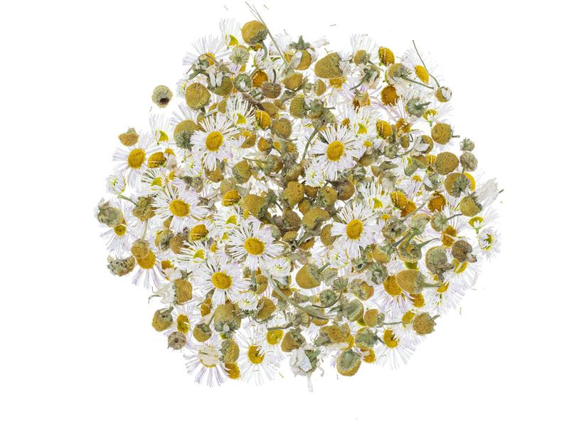 Glorex Blüten Kamille 3g
