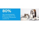 Relaxopet Entspannungsgerät Easy Dog &amp; Cat