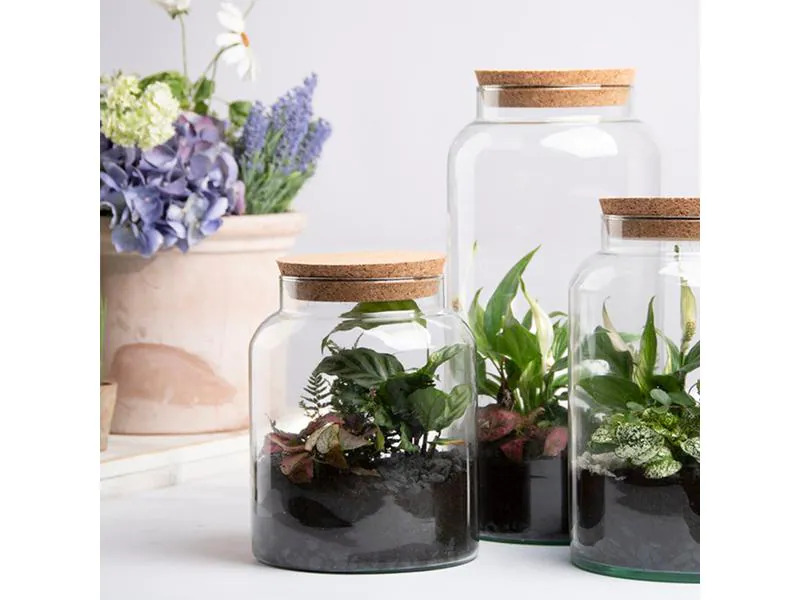 Esschert Design Terrarium-Flasche M, 18.5 x 32.5 cm