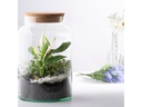 Esschert Design Terrarium-Flasche M, 18.5 x 32.5 cm