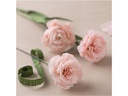 Creativ Company Bastelset Krepppapier-Set Nelken