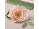 Creativ Company Bastelset Krepppapier-Set Pfingstrose