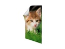Command Klebepad Command Poster 15 mm x 0.05 m, Weiss
