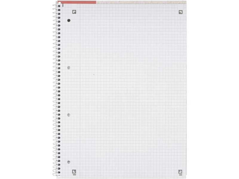 Oxford Notizbuch kariert, A4+, Rot