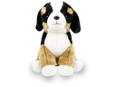 Leo Brummbär Plüsch Sennenhund 25 cm