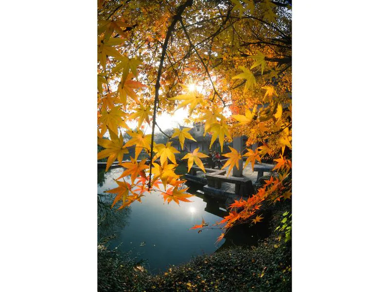 7Artisans Festbrennweite 7.5mm F/2.8 Fisheye Mark II – X-Mount