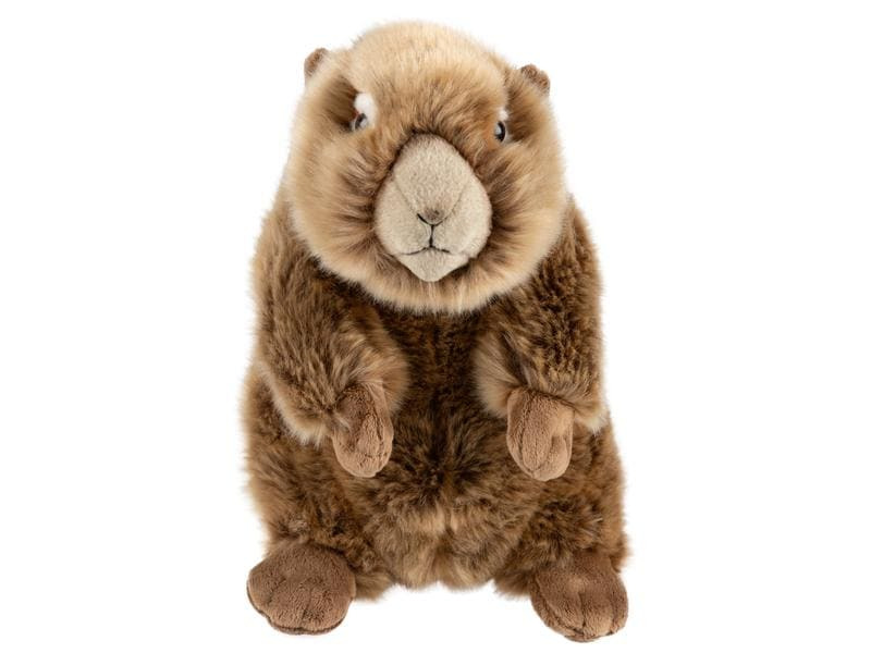 Leo Brummbär Plüsch Murmeltier 25 cm