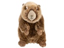 Leo Brummbär Plüsch Murmeltier 25 cm