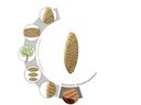Tox-Dübel Holz Flachdübel Biscuit Wood Miniset, 100 Stück